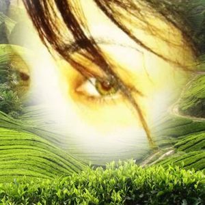 Meet your Posher, Anu